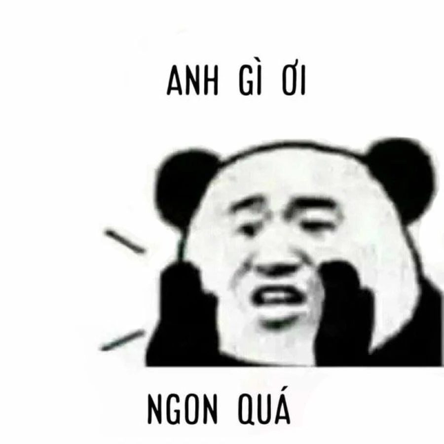 Hài không nhịn nổi với meme gấu trúc xin lỗi