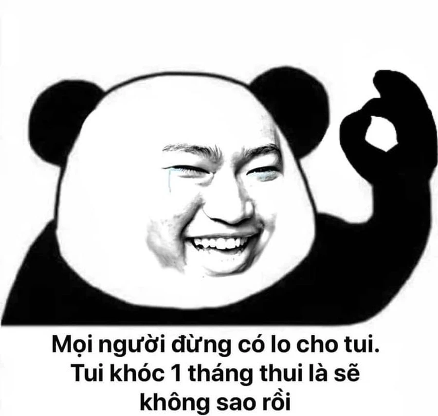 Ngọt ngào hơn qua meme gấu trúc cute đáng yêu