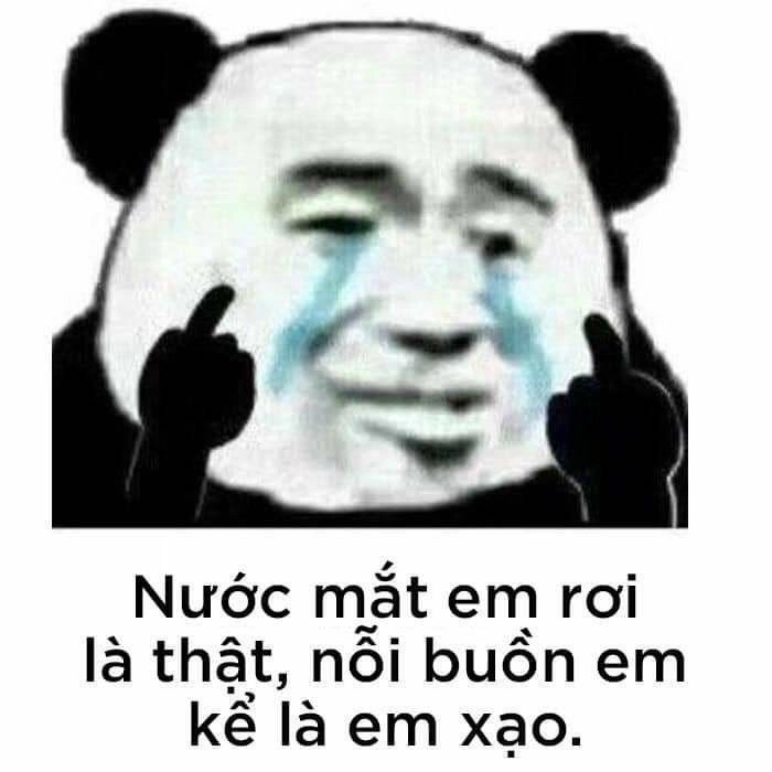 Trải nghiệm độc lạ với gấu trung quốc meme