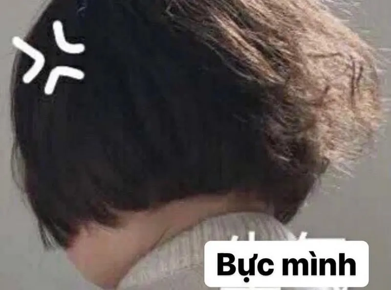 Bộ sưu tập hình meme tức giận ngộ nghĩnh và hài hước