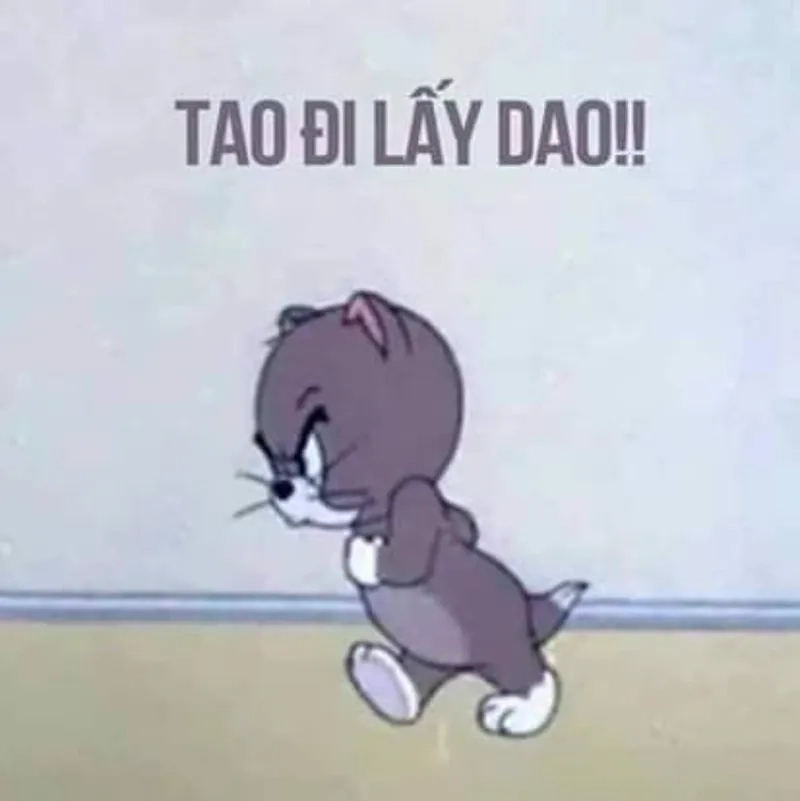 Biểu cảm tức giận ảnh meme dỗi mèo cute đáng yêu vô đối