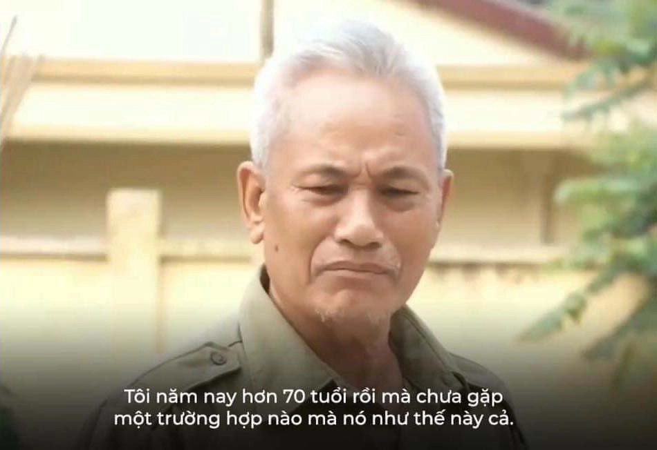 Meme mèo hết cứu dễ thương và hài hước