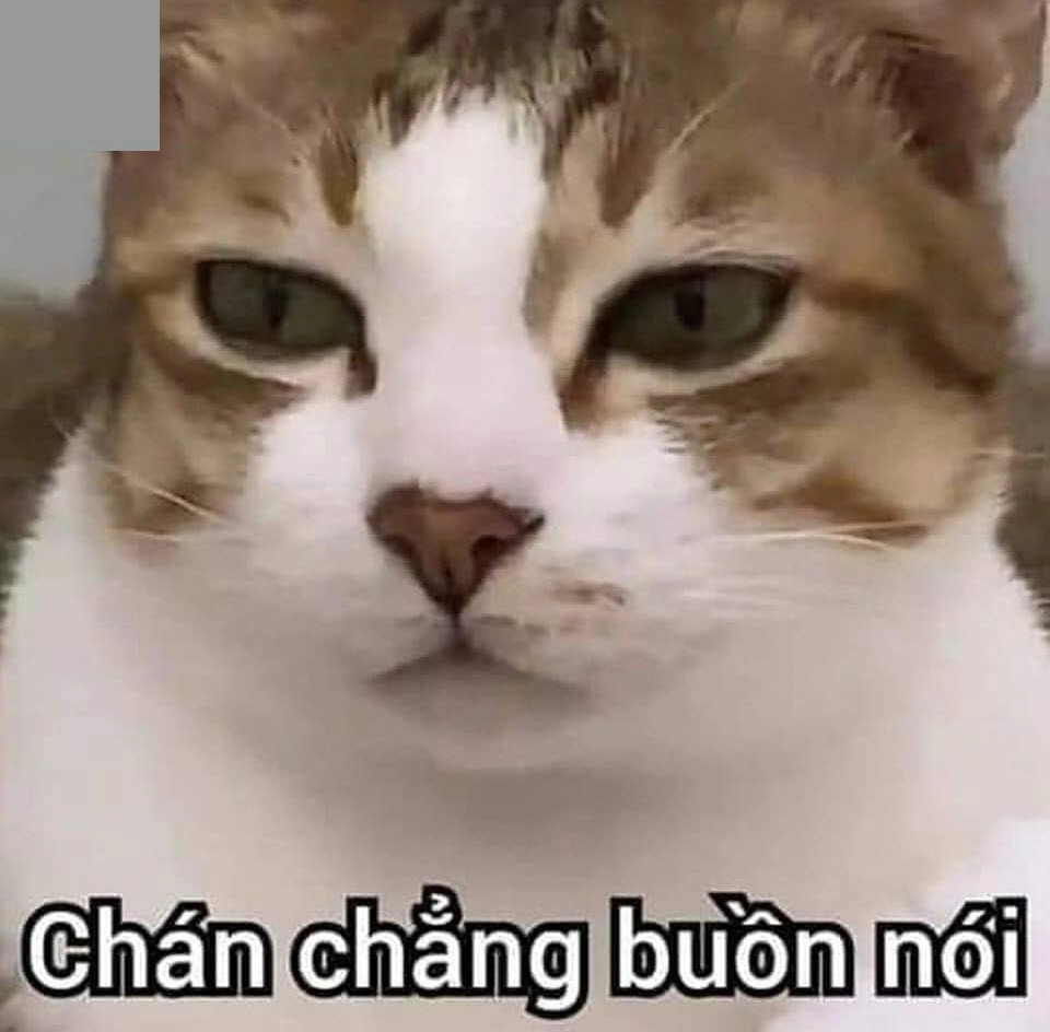 Meme còn cứu được không với nội dung vui nhộn