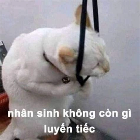 Meme không ai cứu được em đâu cực bá đạo