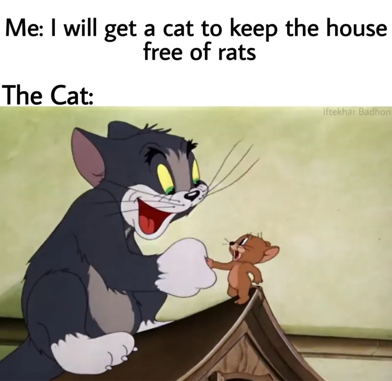 Tom and Jerry meme love dễ thương, giúp lan tỏa tình yêu thương