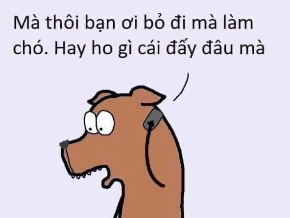 meme còn cứu được không, quá bá đạo