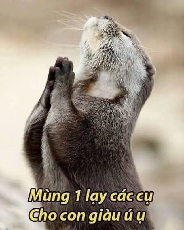 Meme lạy chúa trên cao là hình ảnh thú vị, thể hiện sự ngưỡng mộ và kính trọng.