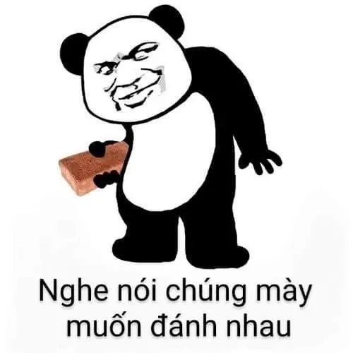 Meme thỏ đánh ngộ nghĩnh, tạo niềm vui cho mọi người