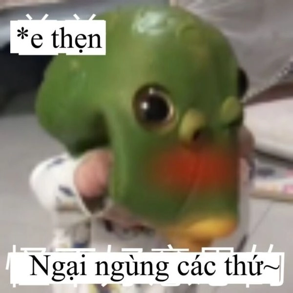 Tìm ngay các meme cười ngại ngùng hài hước, giúp bạn giải trí tức thì