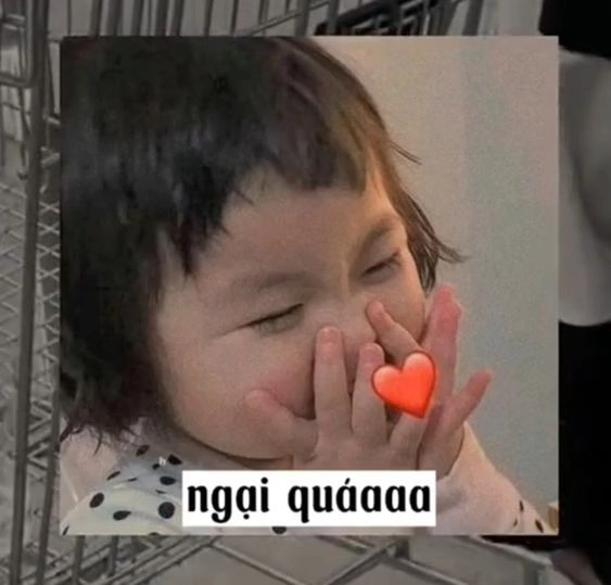 Những meme che mặt ngại siêu cute, mang lại tiếng cười sảng khoái