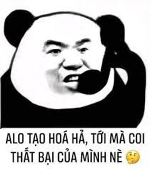 Đôi khi không cần giải thích, chỉ cần nhìn là hiểu ngu thì chết meme