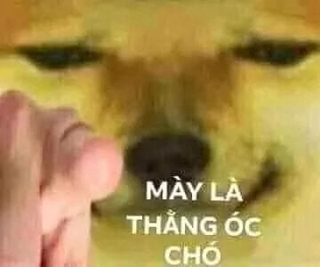 Khoảnh khắc gây lú không tưởng từ ảnh meme ngu