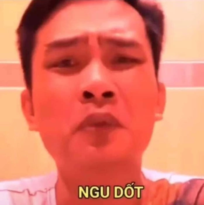 Đỉnh cao của sự ngáo ngơ, đúng chuẩn meme ngu ngốc