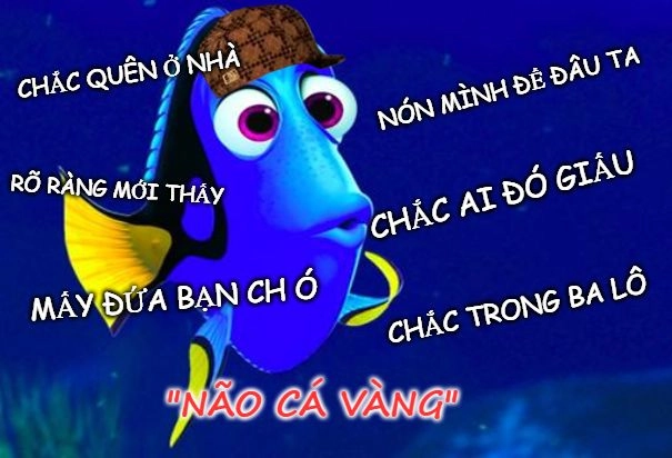 Khoảnh khắc người ngáo, cười không nhịn được với meme nguoi