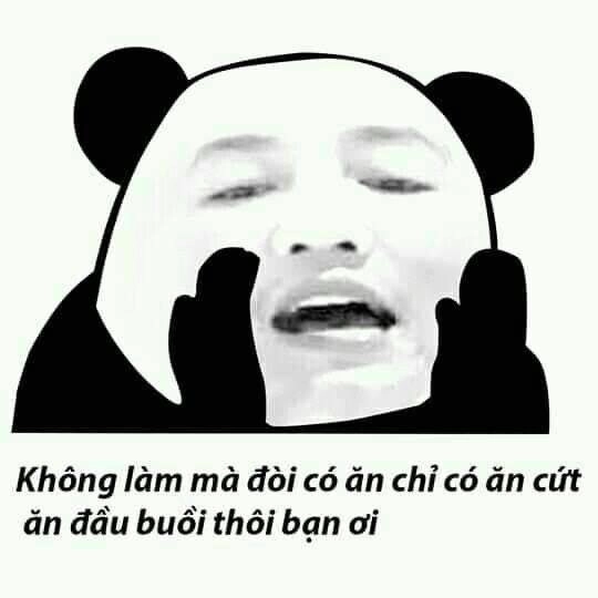 Ngủ ngon nhưng vẫn phải hài, thử ngay meme ngu ngon