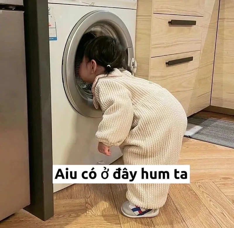 Meme mèo nhớ này cực kỳ dễ thương và đầy cảm xúc.