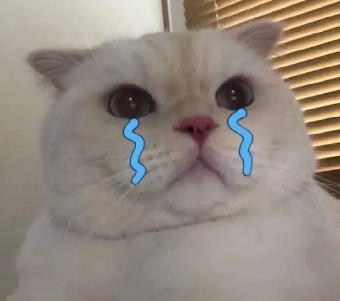 Sad boy meme đậm chất tâm trạng, biểu cảm đầy cảm xúc