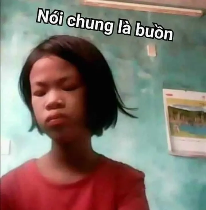 Meme mèo sad khiến bạn vừa cười vừa thương