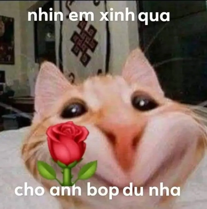 Meme tặng hoa hồng lãng mạn, thể hiện tình cảm ngọt ngào.