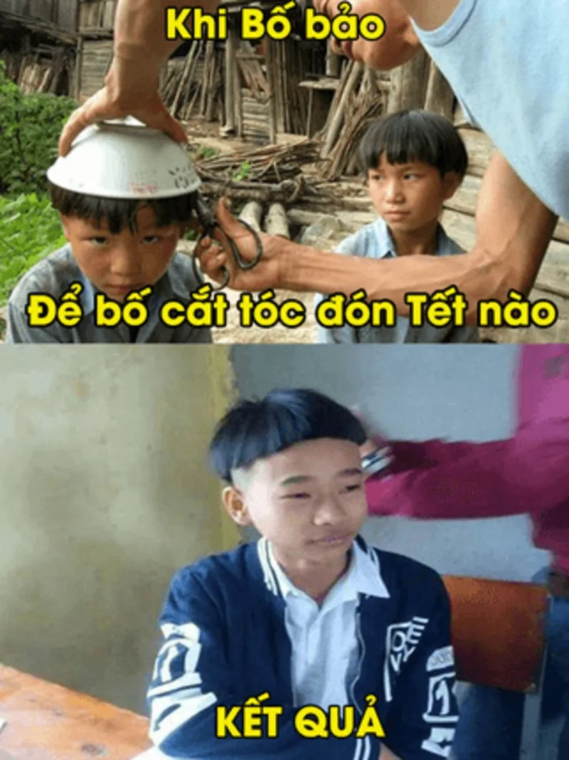 Làm mới diện mạo với avatar meme mèo tết