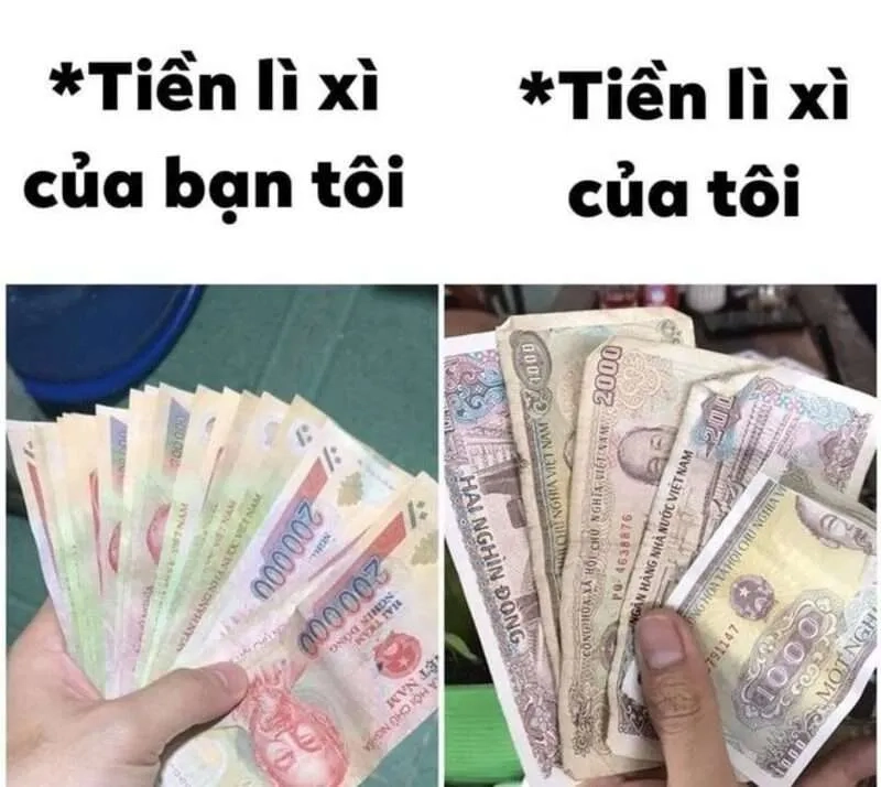 Lưu giữ khoảnh khắc xuân qua hình mèo meme tết