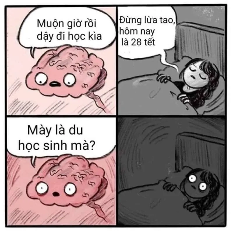 Khám phá không khí Tết với ảnh mèo meme đón tết