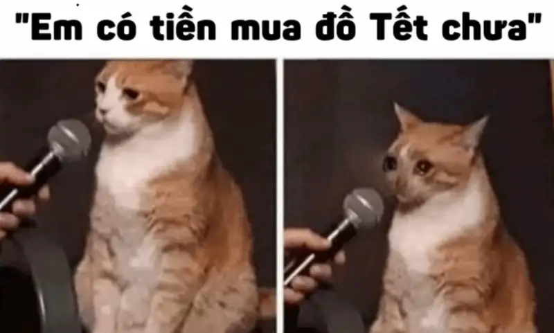 Đón Tết trọn niềm vui qua avatar meme tết 2024