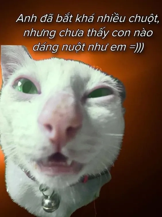 Tỏ tình meme lãng mạn, khiến lời tỏ tình thêm ấn tượng