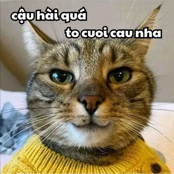 Tỏ tình crush cute meme tặng hoa siêu dễ thương, ghi điểm tuyệt đối