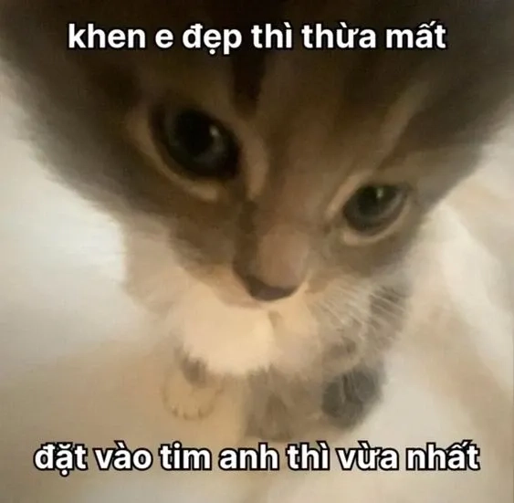 Ảnh meme tỏ tình crush cực ngầu, thể hiện tình cảm trọn vẹn