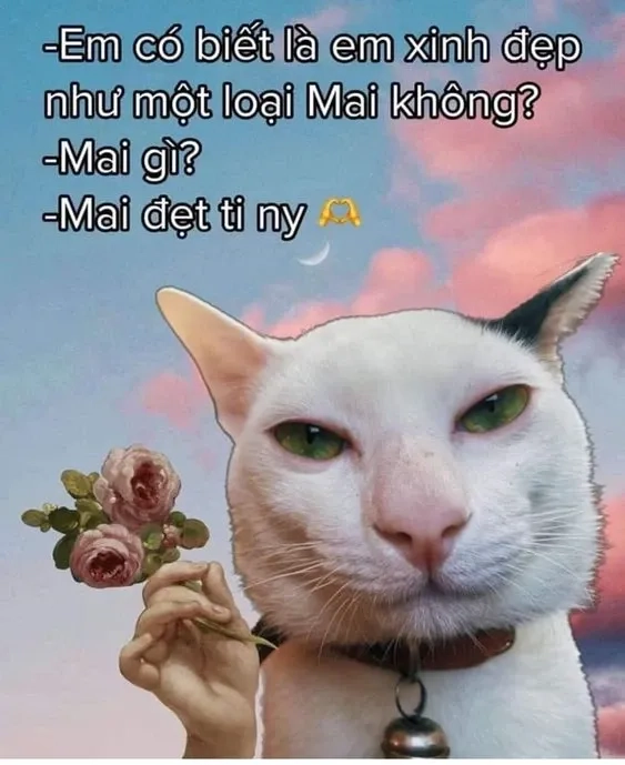 Cute meme tình yêu dễ thương, khiến bạn không thể ngừng yêu