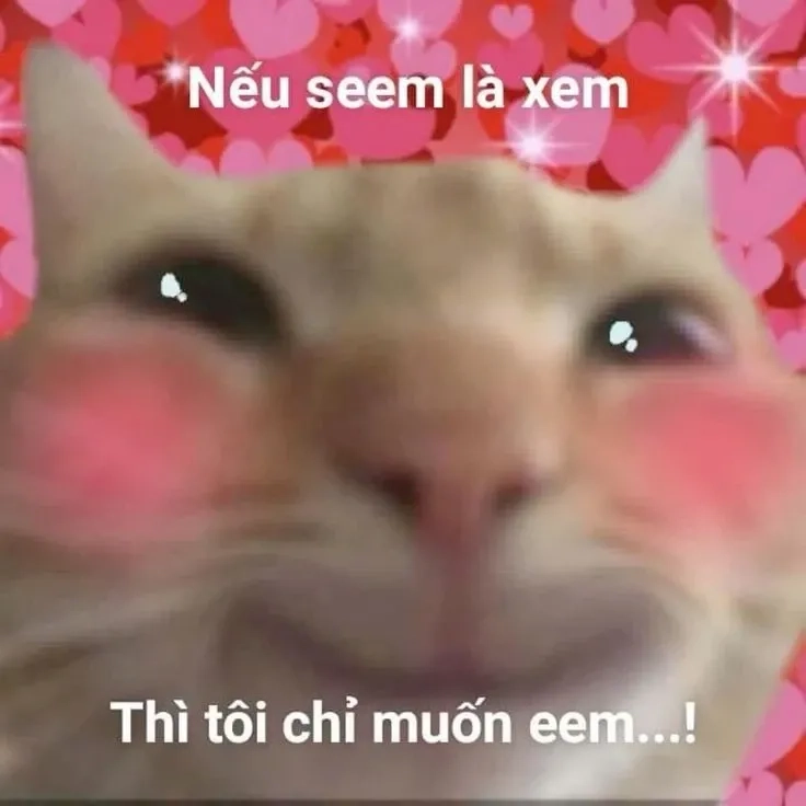 Hình meme cute tình yêu độc lạ, gửi gắm cảm xúc ngọt ngào