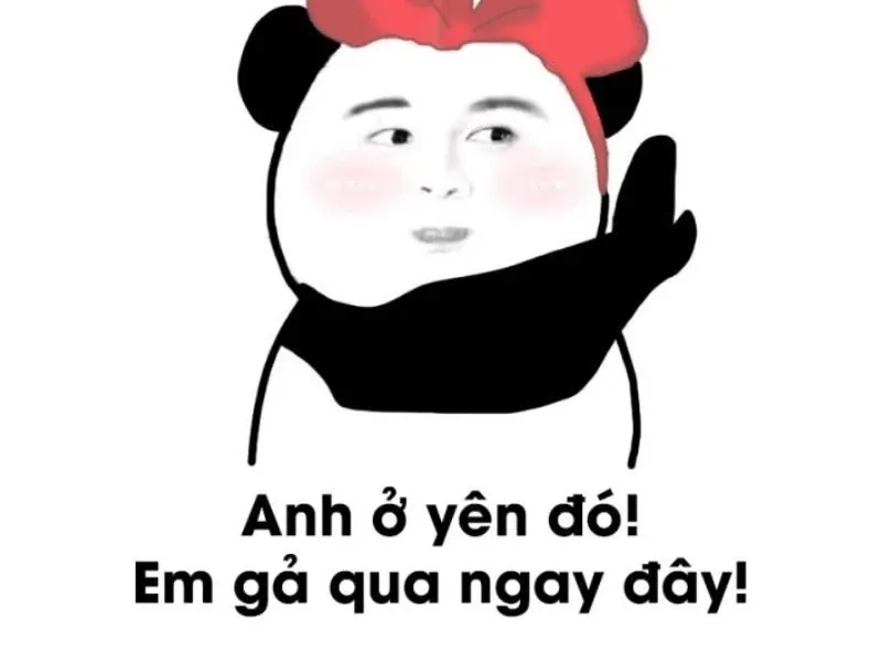 Mèo thả tim meme ngộ nghĩnh, gửi gắm cảm xúc yêu thương