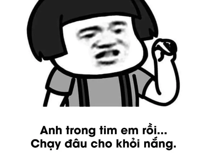 Cute ảnh meme hài đáng yêu, tăng thêm niềm vui cho cuộc sống