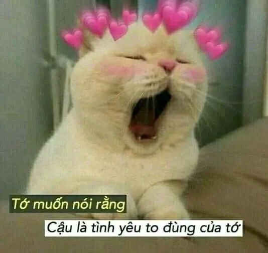 Meme tình yêu to lớn hài hước, biểu cảm không thể đỡ nổi