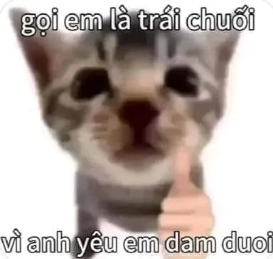 Meme yêu cậu đáng yêu, khiến trái tim ai cũng tan chảy