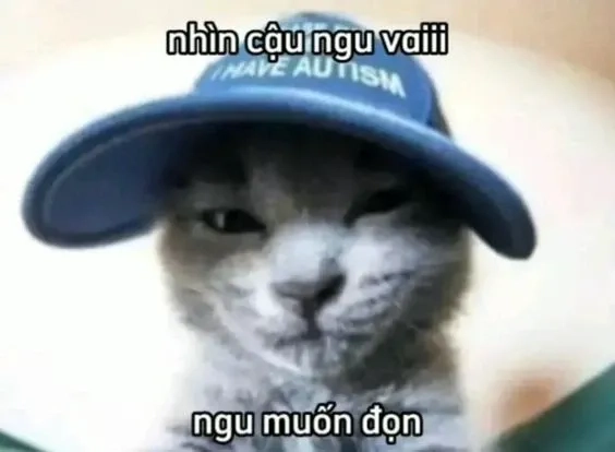 Meme trêu người yêu hài hước, tăng thêm niềm vui cho tình yêu