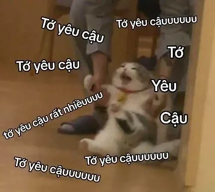 Tình yêu ảnh meme em bé có chữ đáng yêu, truyền cảm hứng lãng mạn