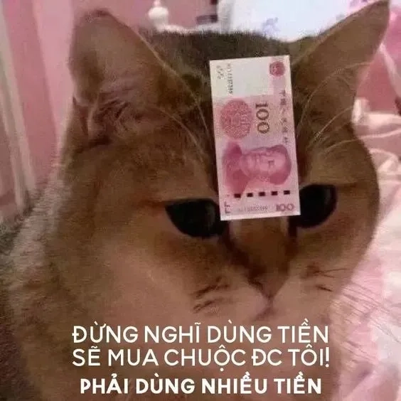 Biểu cảm meme tiền đây siêu ngầu và cực hài