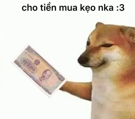 Bộ sưu tập ảnh meme cho tiền đa dạng và dễ thương