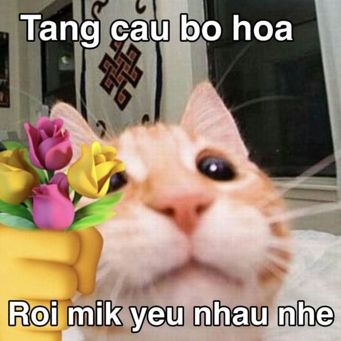 Ảnh meme mèo tình yêu cực ngầu, gửi ngay cho crush