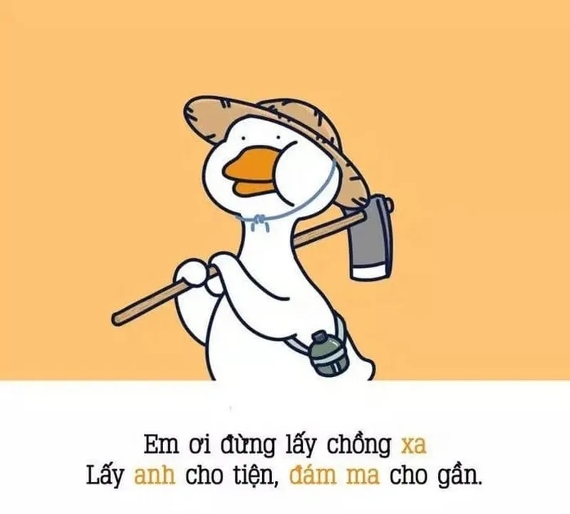 Meme mèo hun siêu đáng yêu, khiến tim tan chảy