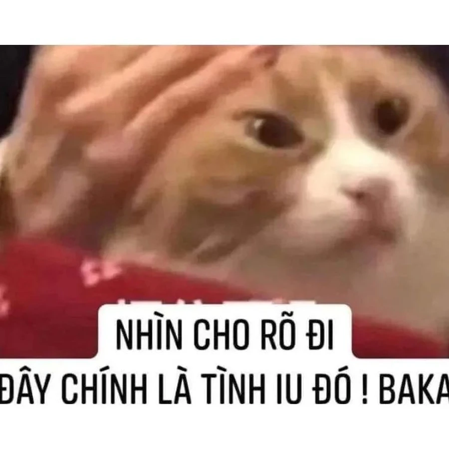 Thêm màu sắc ngọt ngào với hình meme cute tình yêu