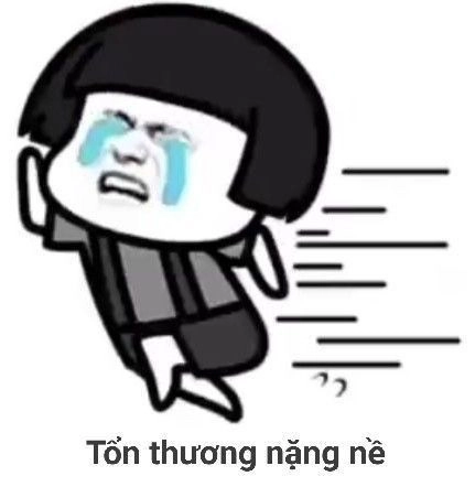 Meme mèo đội tóc giả sẽ khiến bạn bật cười với sự đáng yêu và hài hước