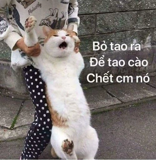 Tăng thêm niềm vui qua tức giận meme tức giận