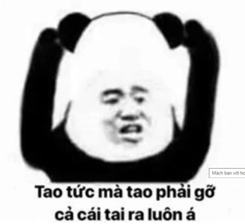 Không thể nhịn cười với meme tức chết