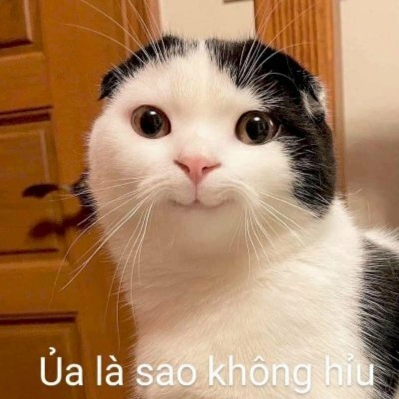 Gửi đến bạn meme chúc ngày mới vui vẻ để bắt đầu ngày mới