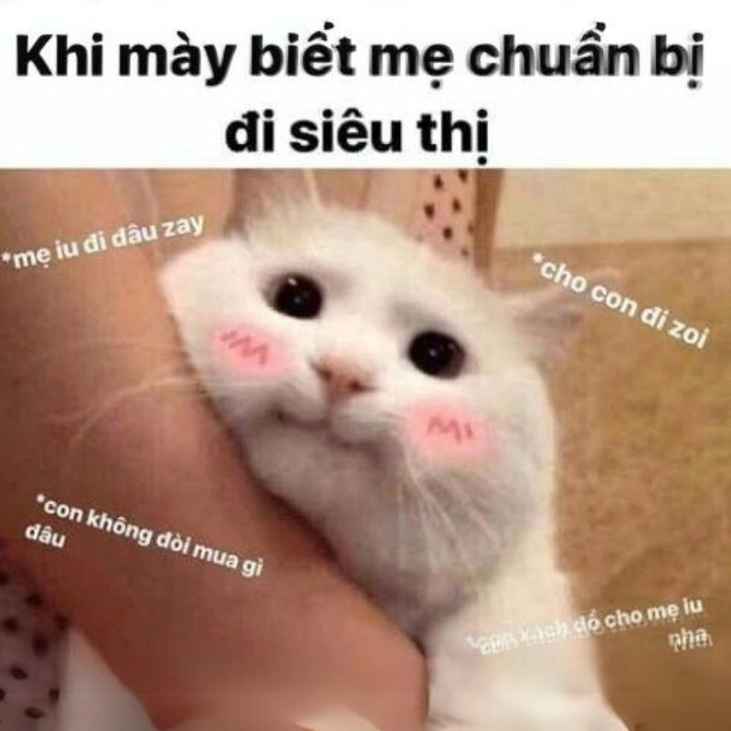 Không vui meme sẽ giúp bạn đối diện cảm xúc một cách nhẹ nhàng hơn