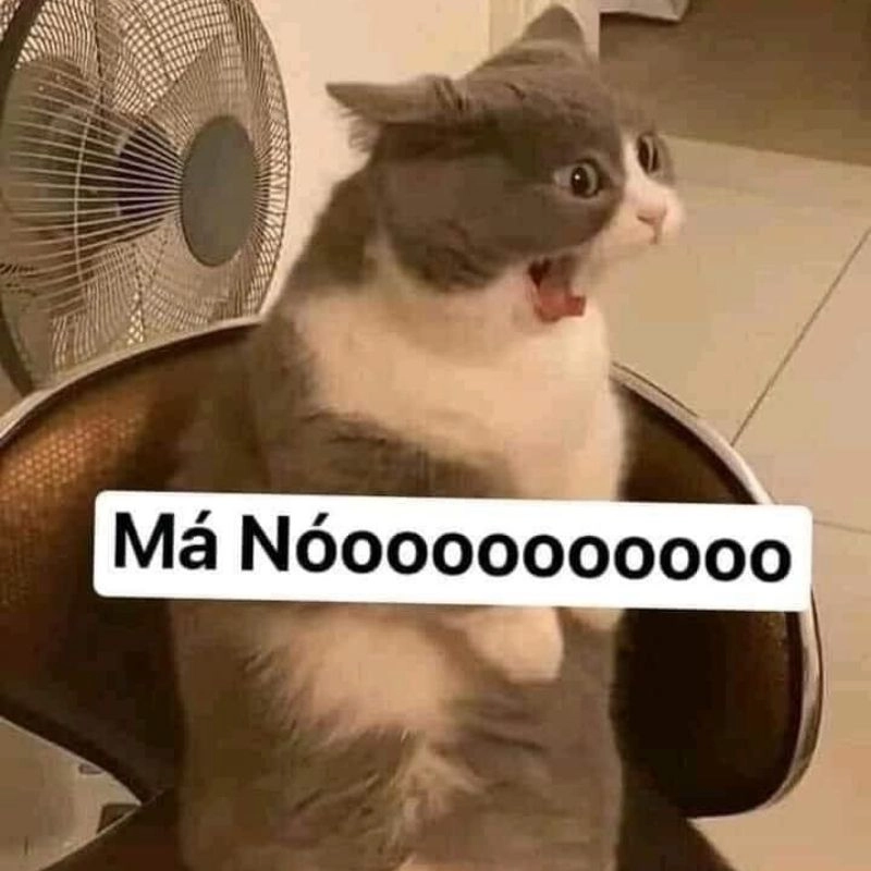 B S u T p nh Meme Vui Nh n Khi n B n C i Kh ng Ng t B S u T p nh Meme Vui Nh n Khi n B n C i Kh ng Ng t