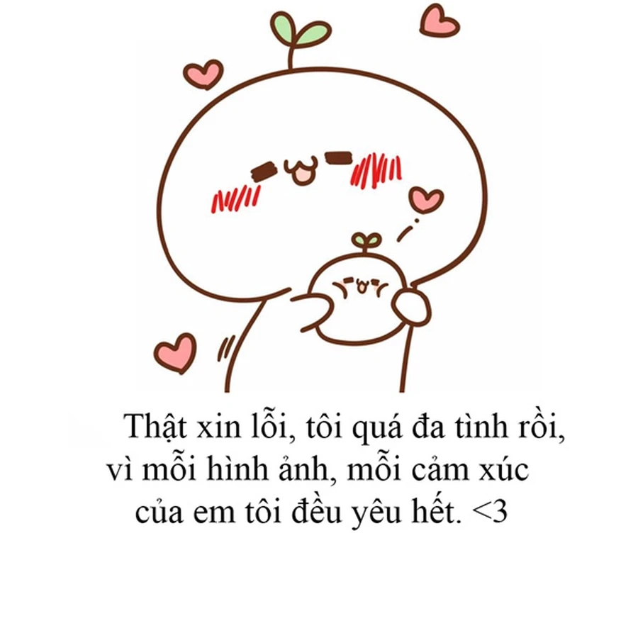 Chân thành và hài hước qua meme xin lỗi ny siêu cute